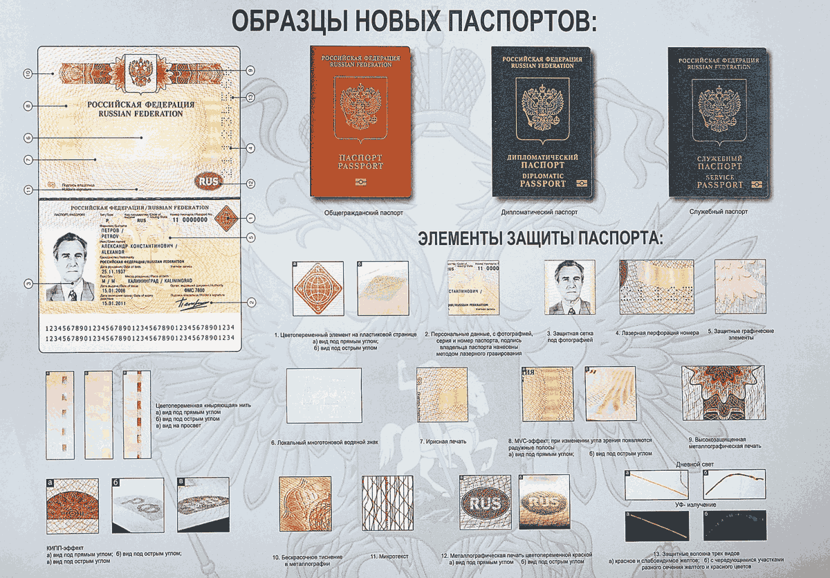 Размер Фото На Паспорт Нового Образца